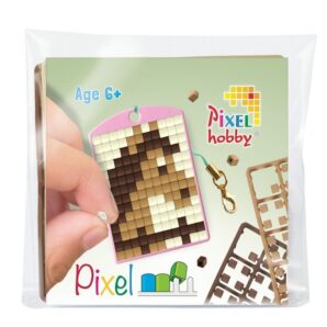 Pixelhobby Paard – Medaillon Startset